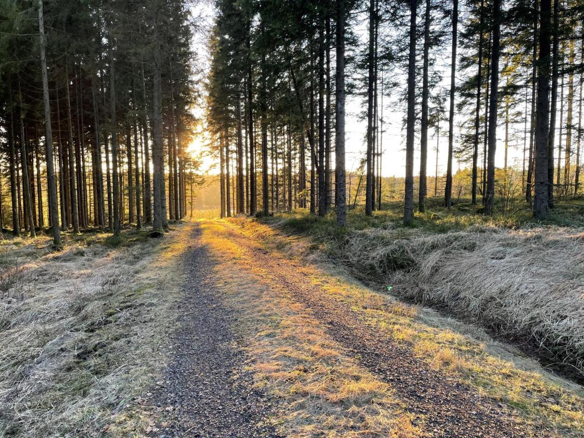 Asserbostugan Överlida Esterno foto